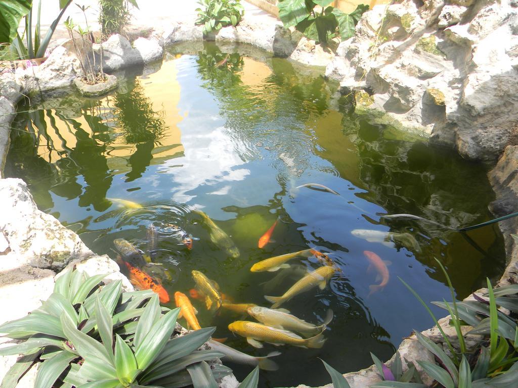 Hacienda Coba Bed & Breakfast Exterior photo
